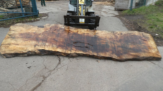 Unbehandelte Tischplatten aus Pappel | Plattennummer: S-00107 Pappel