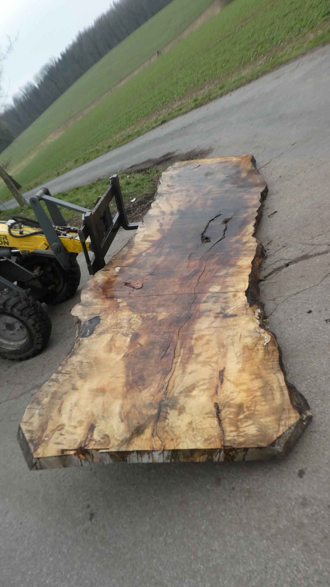 Unbehandelte Tischplatten aus Pappel | Plattennummer: S-00107 Pappel