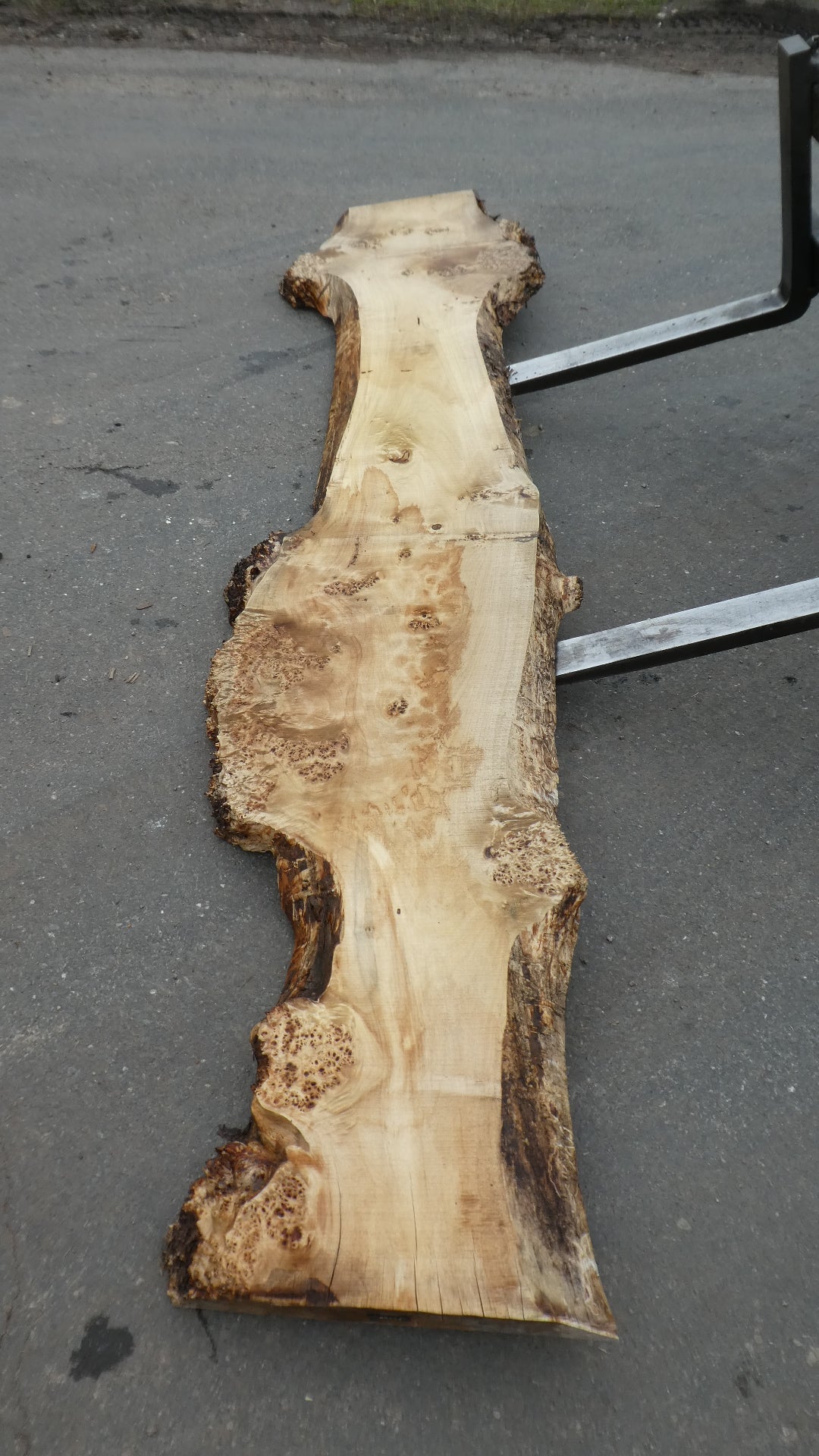 Unbehandelte Tischplatten aus Pappel | Plattennummer S-00111 Pappel