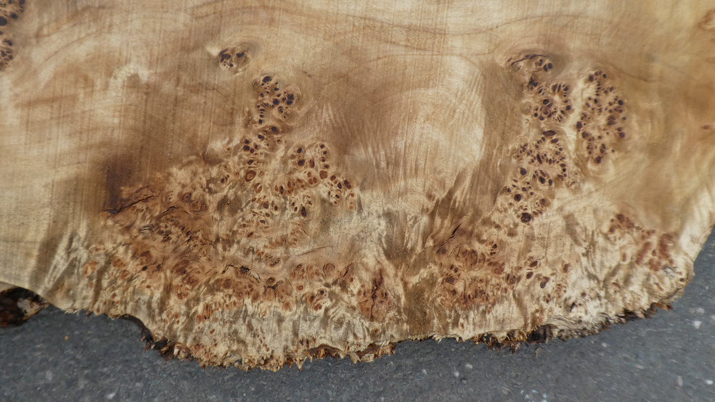 Unbehandelte Tischplatten aus Pappel | Plattennummer S-00111 Pappel