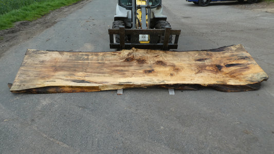 Unbehandelte Tischplatten nach Maß aus Laubholz Kastanie | Plattennummer  B-00459