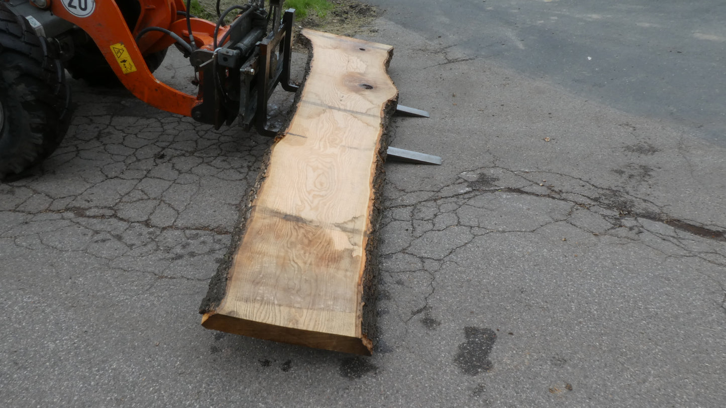 Unbehandelte Tischplatte nach Maß aus Esche | Plattennummer R-00280