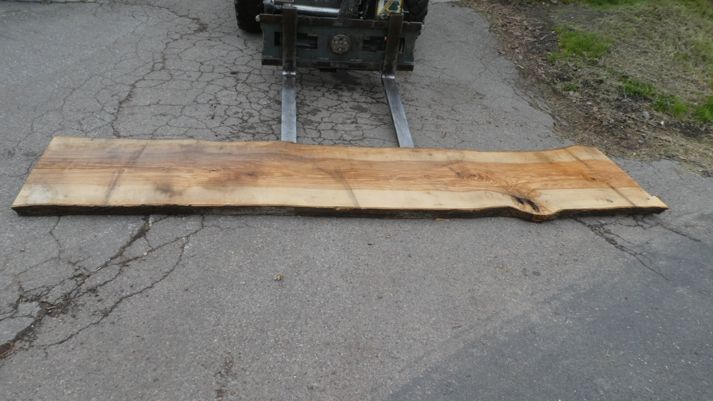 Unbehandelte Tischplatte nach Maß aus Esche | Plattennummer R-00281