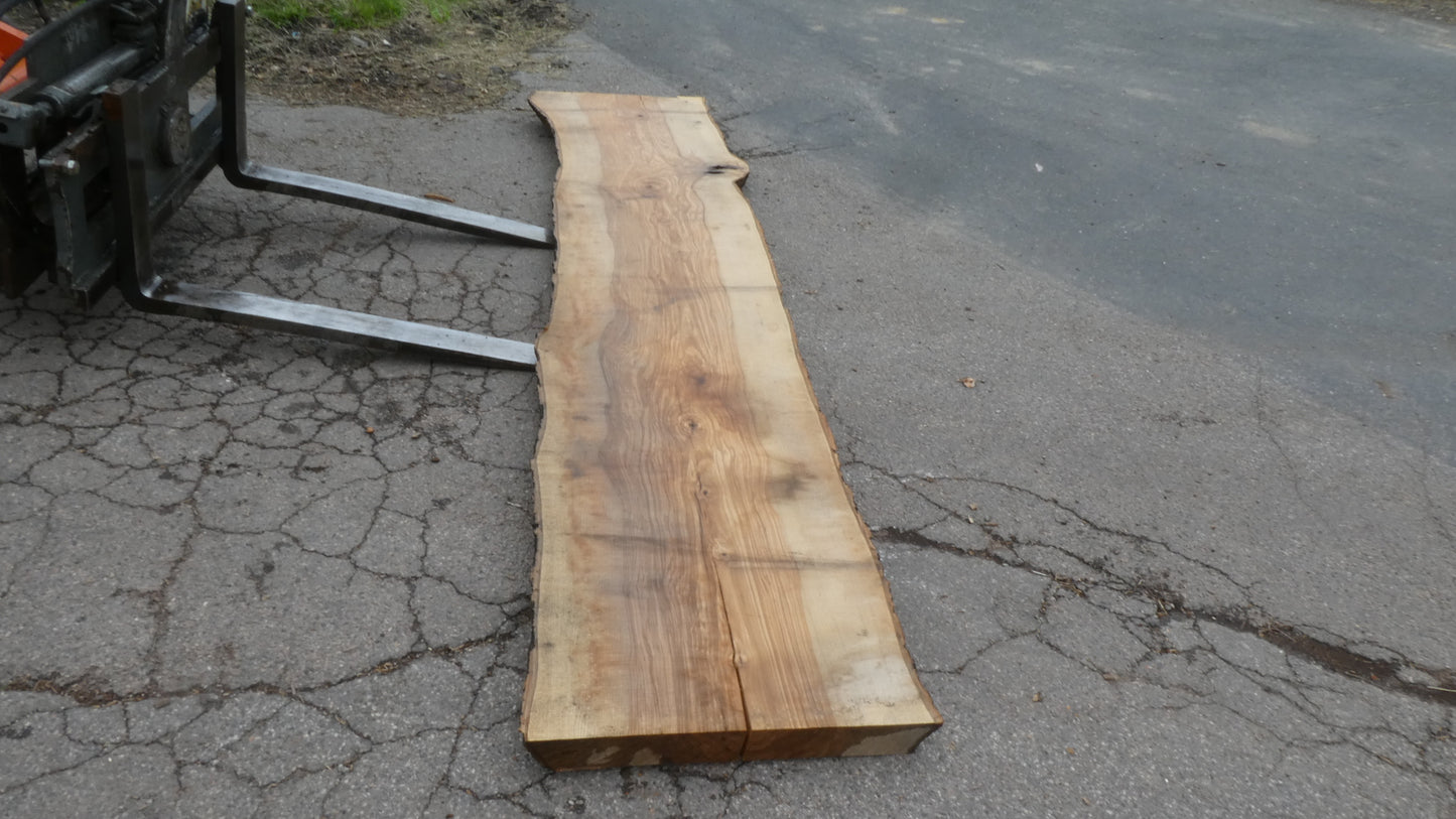 Unbehandelte Tischplatte nach Maß aus Esche | Plattennummer R-00281