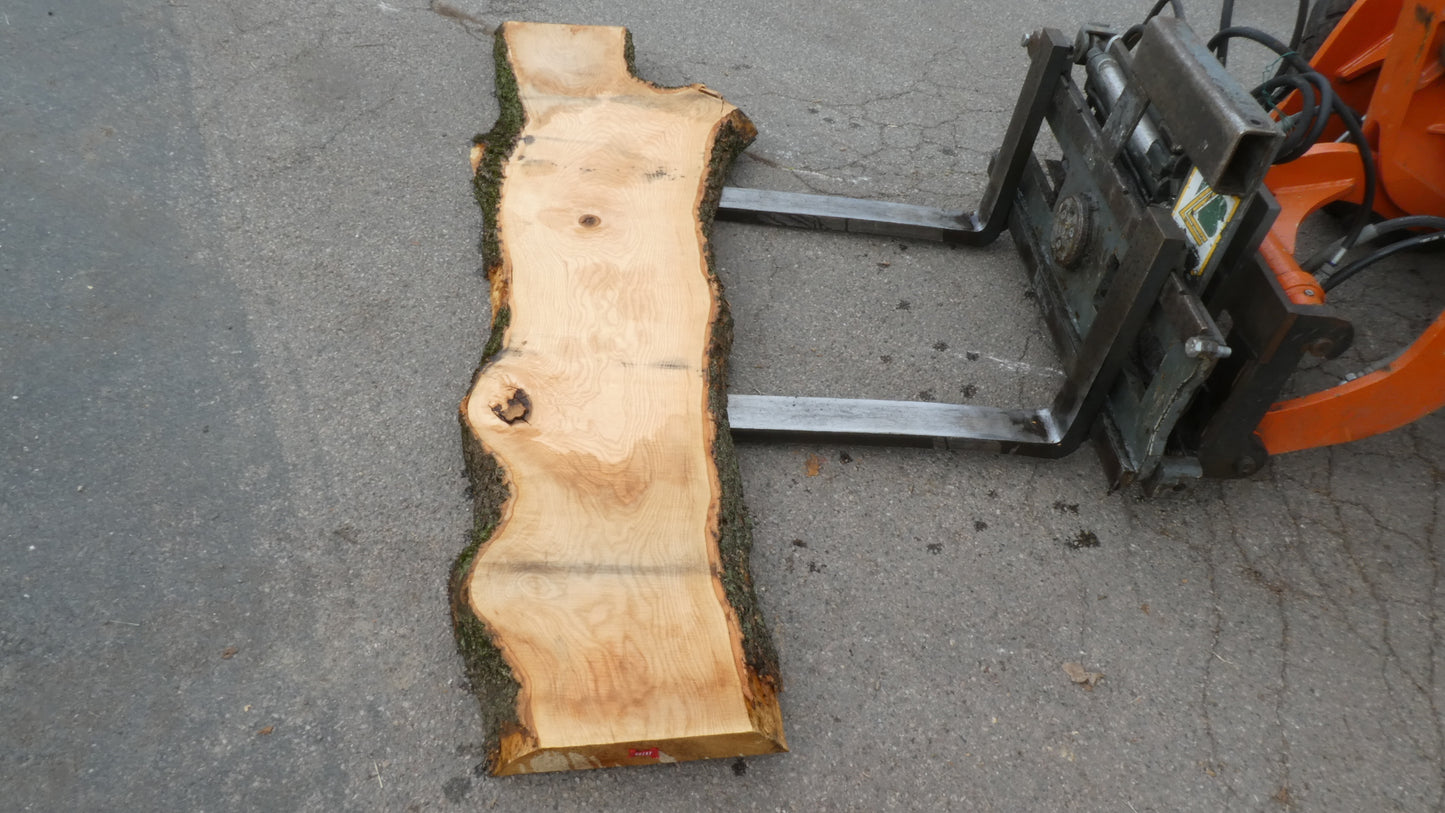 Unbehandelte Tischplatte nach Maß aus Esche | Plattennummer R-00287