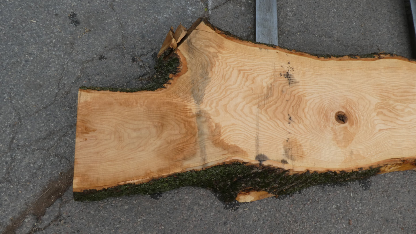 Unbehandelte Tischplatte nach Maß aus Esche | Plattennummer R-00287