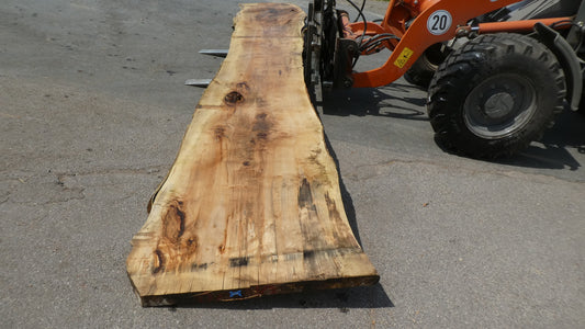 Unbehandelte Tischplatten nach Maß aus Laubholz Kastanie | Plattennummer  B-00480