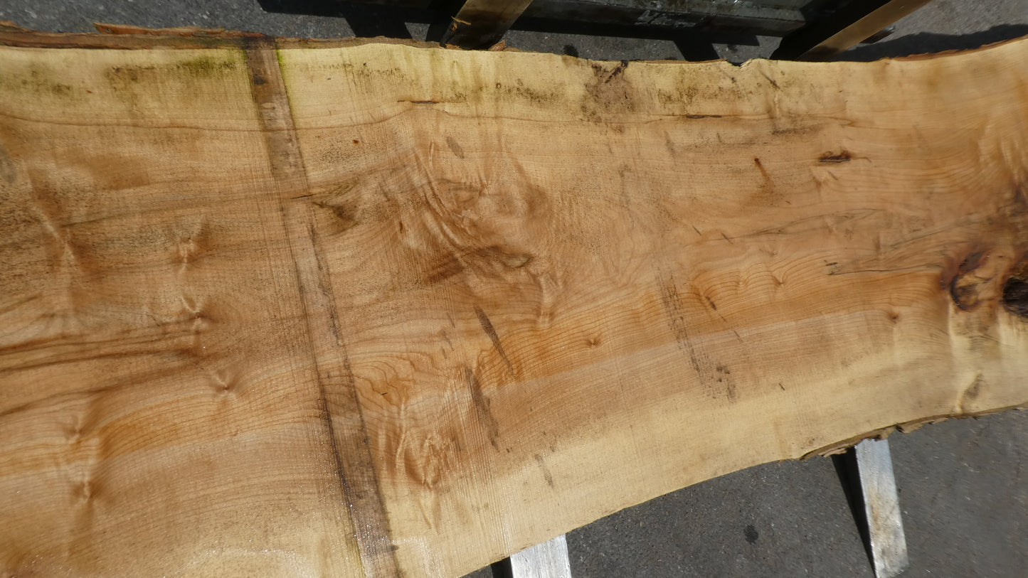 Unbehandelte Tischplatten nach Maß aus Laubholz Kastanie | Plattennummer  B-00480