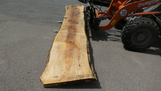Unbehandelte Tischplatten nach Maß aus Laubholz Kastanie | Plattennummer  B-00481