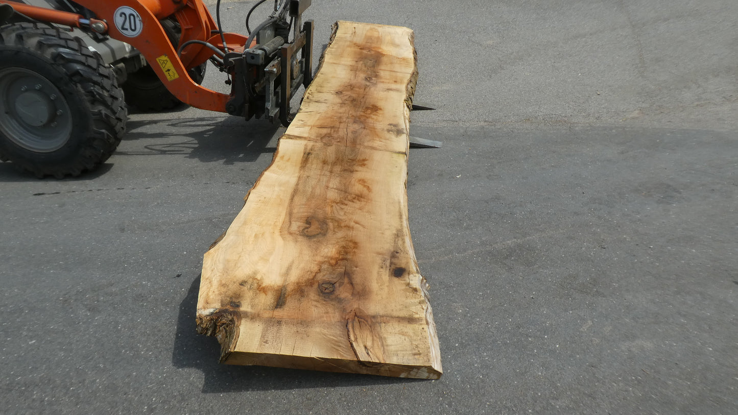 Unbehandelte Tischplatten nach Maß aus Laubholz Kastanie | Plattennummer  B-00481