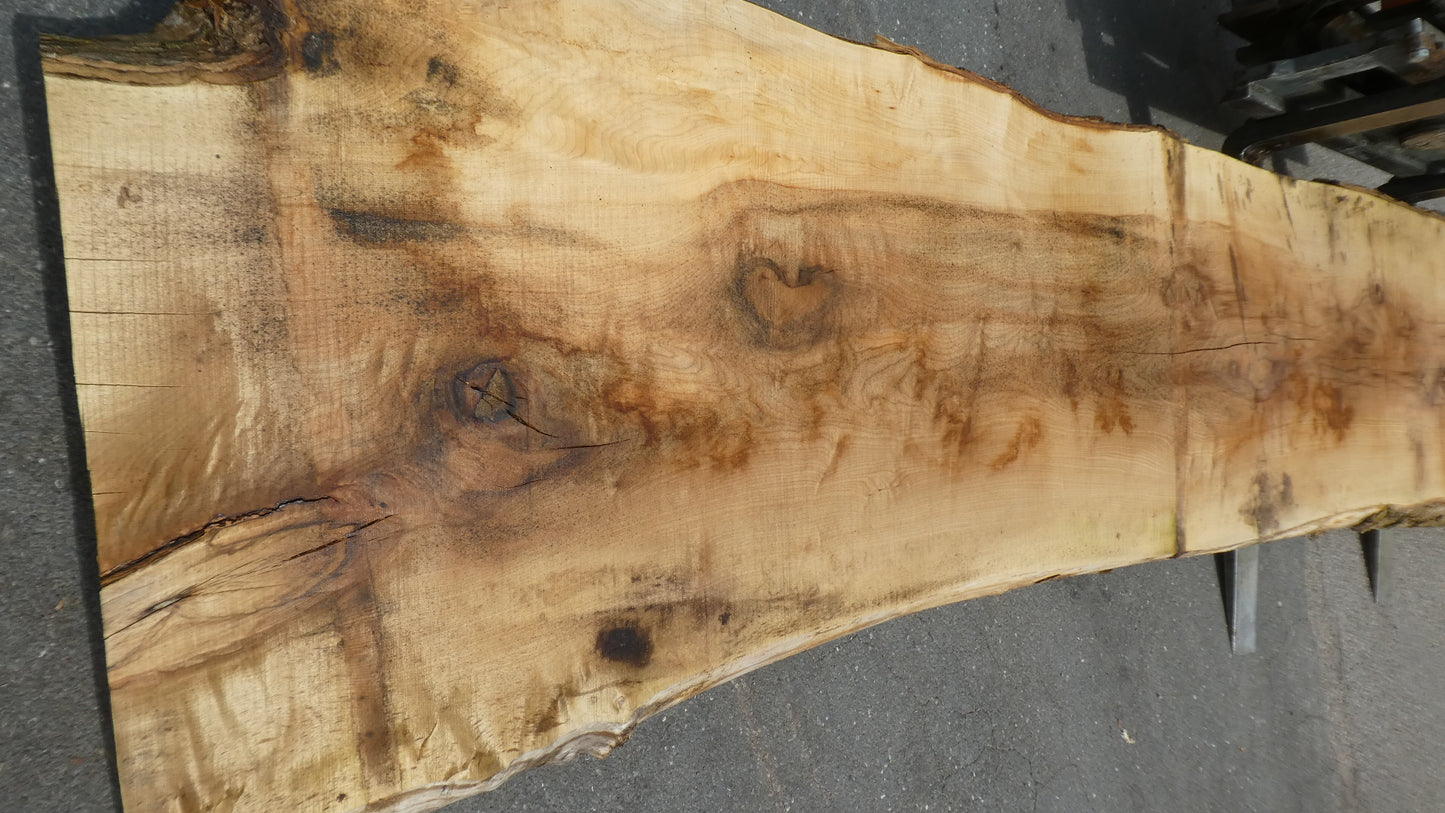 Unbehandelte Tischplatten nach Maß aus Laubholz Kastanie | Plattennummer  B-00481
