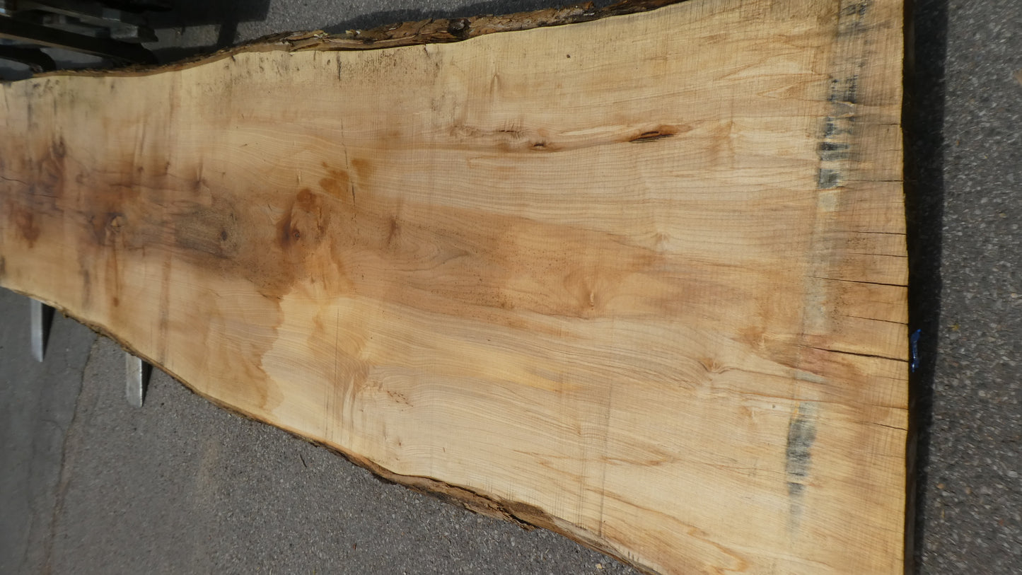 Unbehandelte Tischplatten nach Maß aus Laubholz Kastanie | Plattennummer  B-00481