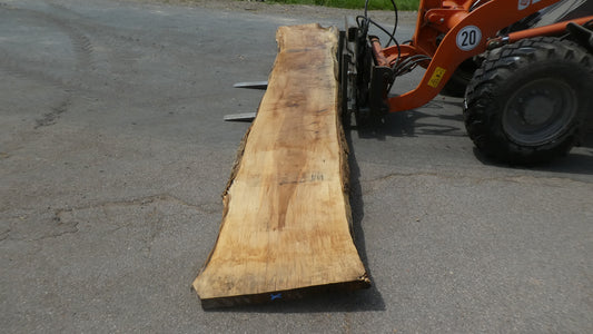 Unbehandelte Tischplatten nach Maß aus Laubholz Kastanie | Plattennummer  B-00482