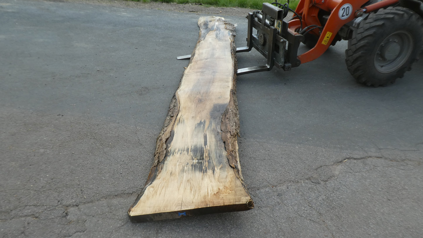 Unbehandelte Tischplatten nach Maß aus Laubholz Kastanie | Plattennummer  B-00483