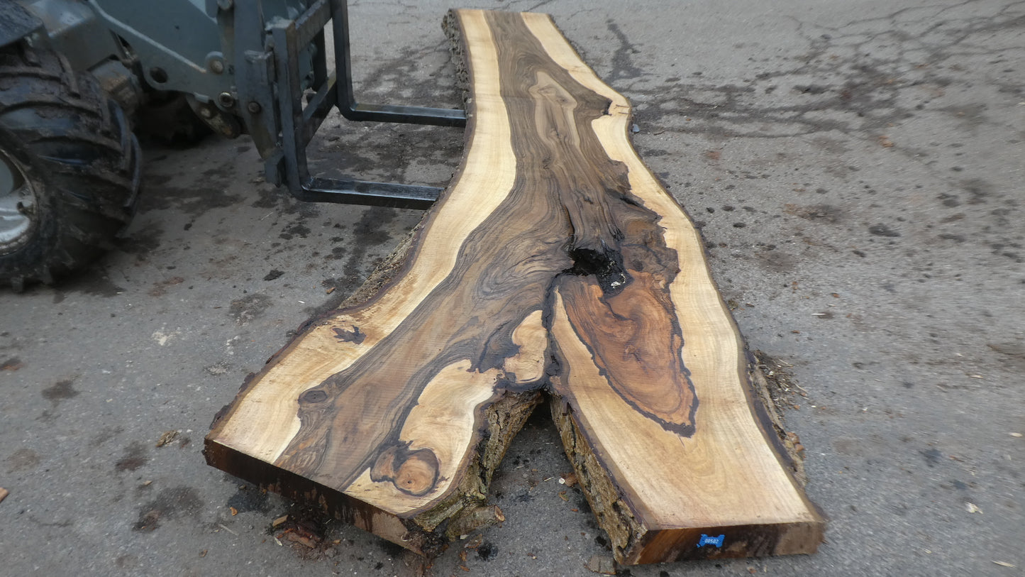 Unbehandelte Tischplatten nach Maß aus Laubholz Nuss / Nussbaum | Plattennummer  B-00502