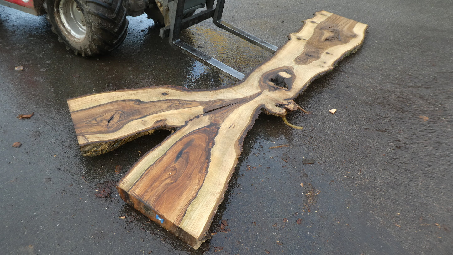 Unbehandelte Tischplatten nach Maß aus Laubholz Nuss / Nussbaum | Plattennummer  B-00504