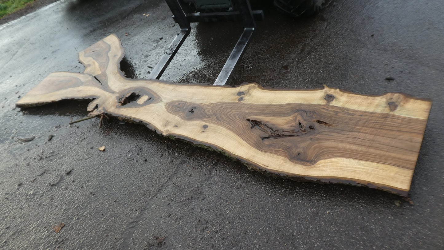 Unbehandelte Tischplatten nach Maß aus Laubholz Nuss / Nussbaum | Plattennummer  B-00504
