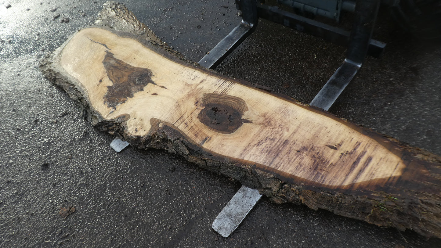 Unbehandelte Tischplatten nach Maß aus Laubholz Nuss / Nussbaum | Plattennummer  B-00506