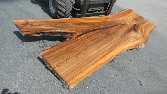Unbehandelte Tischplatten nach Maß aus Laubholz Ulme | Plattennummer  B-00518