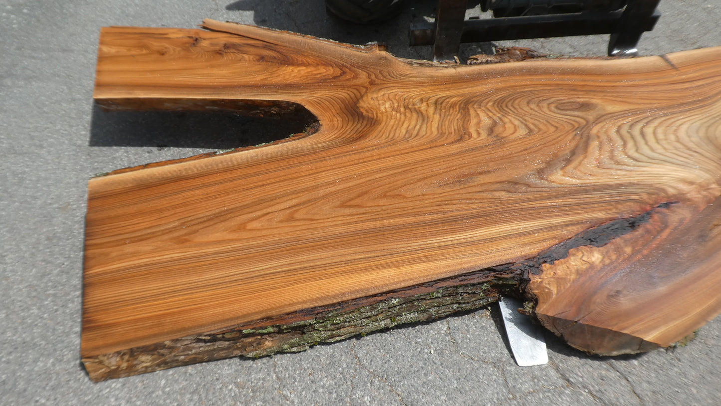 Unbehandelte Tischplatten nach Maß aus Laubholz Ulme | Plattennummer  B-00523