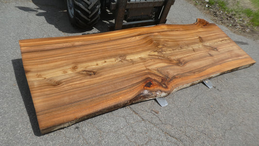 Unbehandelte Tischplatten nach Maß aus Laubholz Ulme | Plattennummer  B-00531