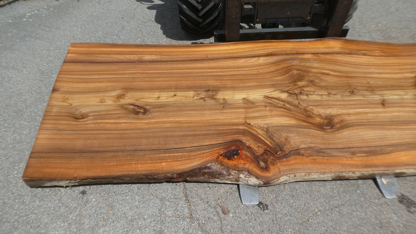 Unbehandelte Tischplatten nach Maß aus Laubholz Ulme | Plattennummer  B-00531