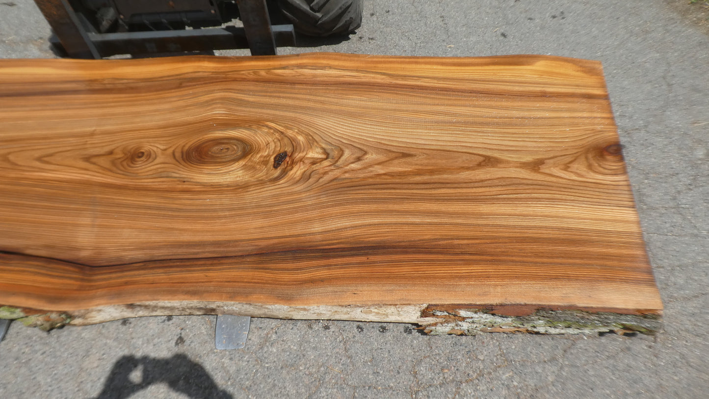 Unbehandelte Tischplatten nach Maß aus Laubholz Ulme | Plattennummer  B-00535