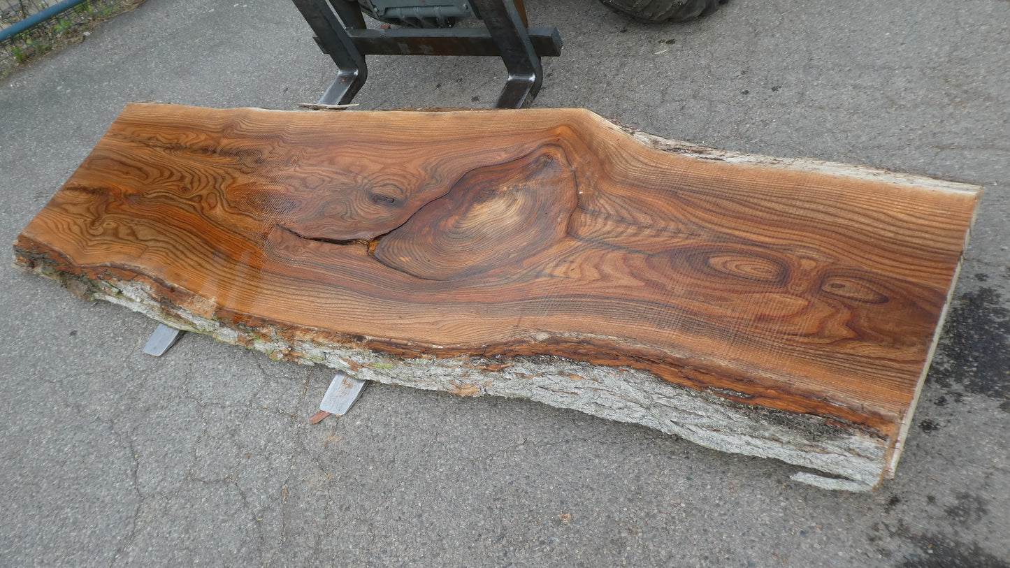 Unbehandelte Tischplatten nach Maß aus Laubholz Ulme | Plattennummer  B-00538