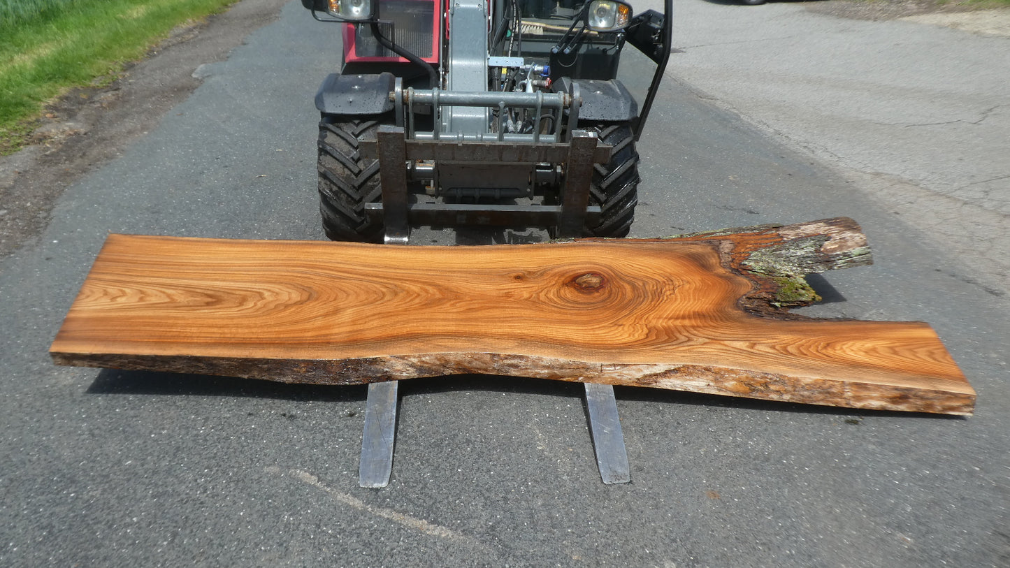 Unbehandelte Tischplatten nach Maß aus Laubholz Ulme | Plattennummer  B-00546