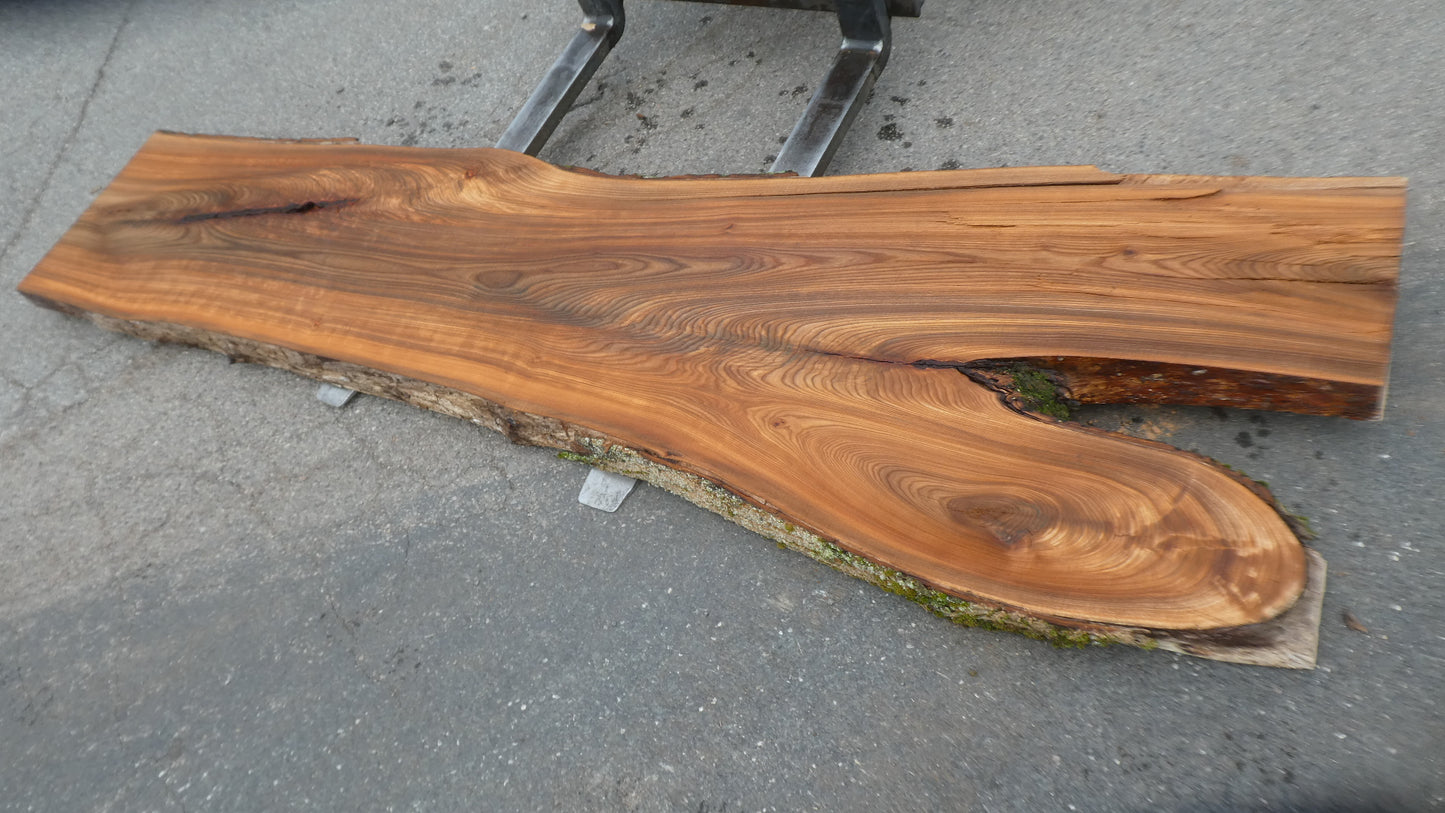 Unbehandelte Tischplatten nach Maß aus Laubholz Ulme | Plattennummer  B-00550