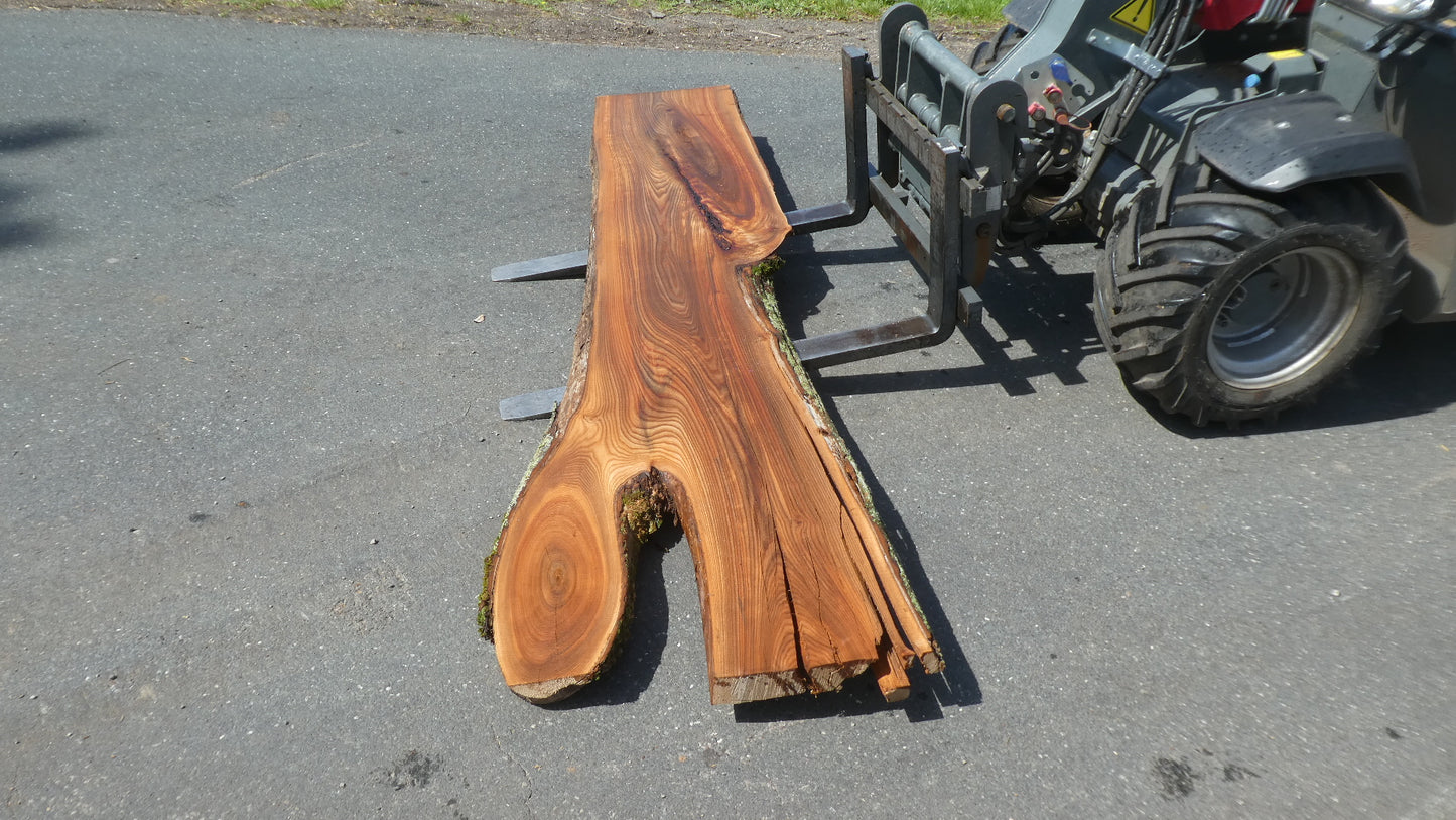 Unbehandelte Tischplatten nach Maß aus Laubholz Ulme | Plattennummer  B-00551