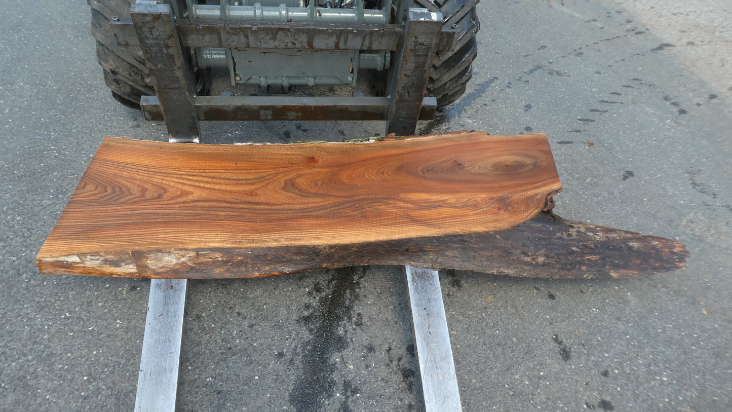 Unbehandelte Tischplatten nach Maß aus Laubholz Ulme | Plattennummer  B-00553