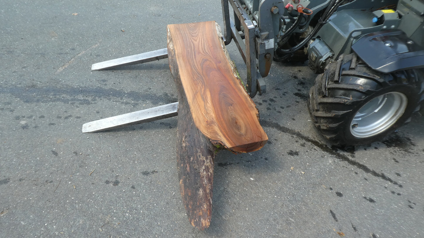Unbehandelte Tischplatten nach Maß aus Laubholz Ulme | Plattennummer  B-00553
