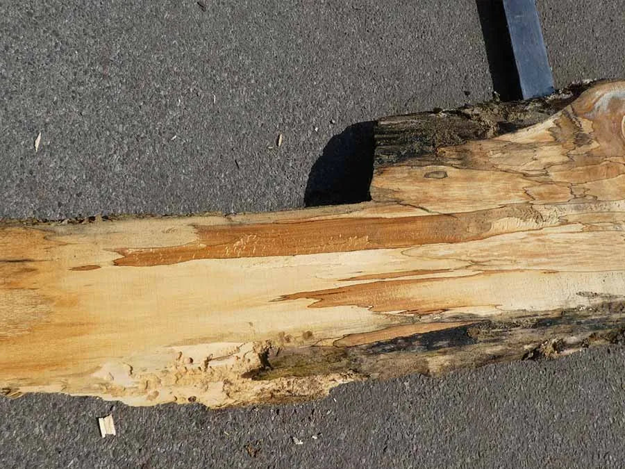 Unbehandelte Tischplatten aus Buche | Plattennummer  O-00274 Buche