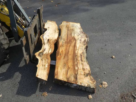 Unbehandelte Tischplatten aus Pappel | S-00128 Pappel
