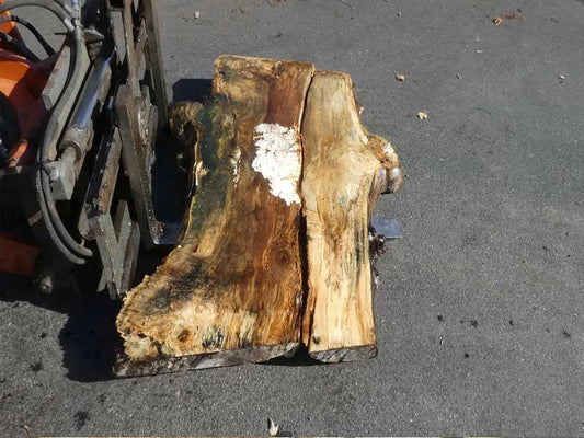 Unbehandelte Tischplatten aus Pappel | S-00131 Pappel